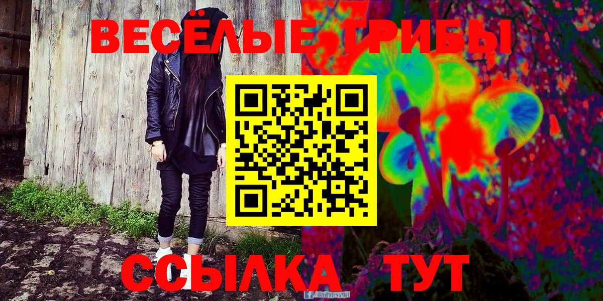Галлюциногенные грибы прущие грибы Великий Новгород